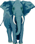 Phuket car rental insurance