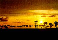 Karon Beach at Sunset